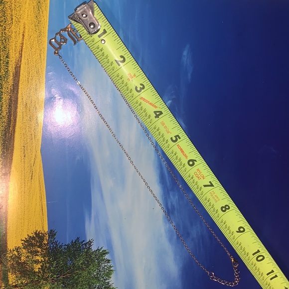 🌻 (5 items for $15) Leo charm Necklace - Picture 10 of 13